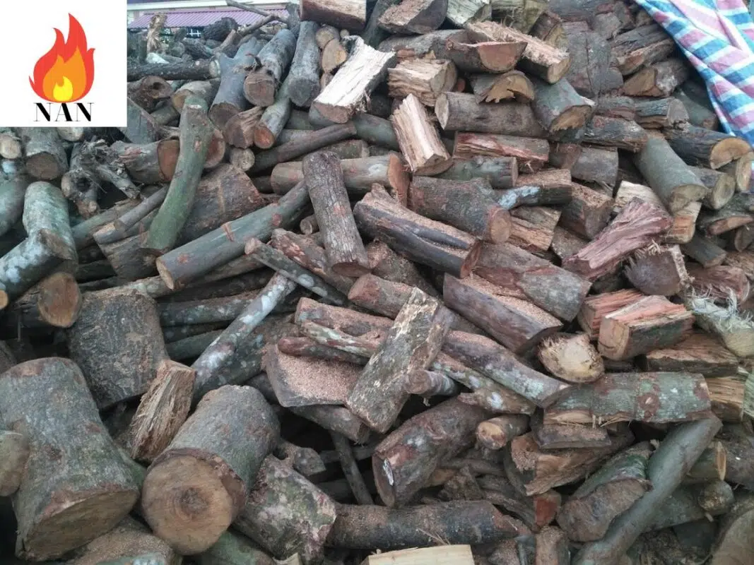 Củi cành và khúc gỗ có kích thước khác nhau xếp thành đống