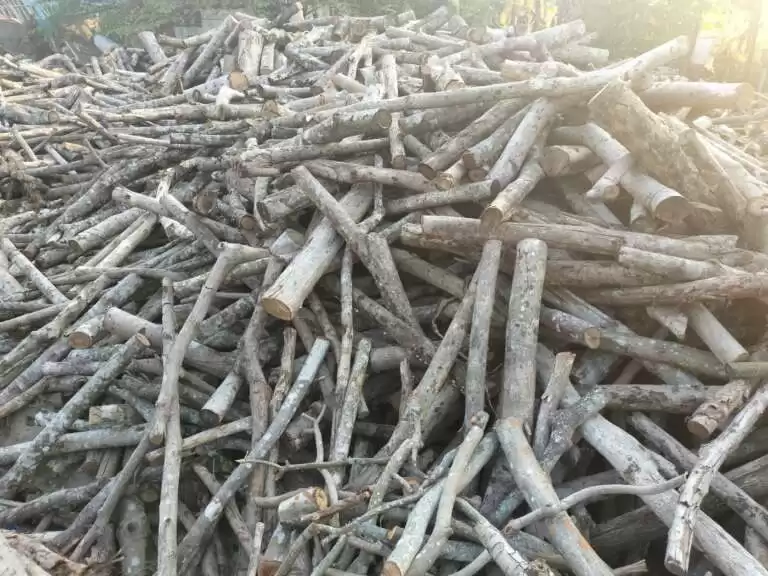 Kho củi gỗ làm nhiên liệu đốt lò hơi