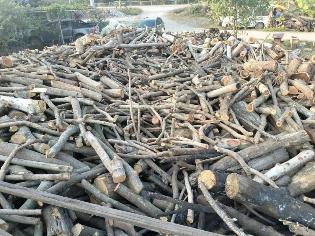Củi gỗ tạp tập kết tại bãi, dùng làm nhiên liệu đốt lò