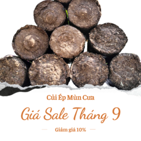 cui-ep-mun-cua