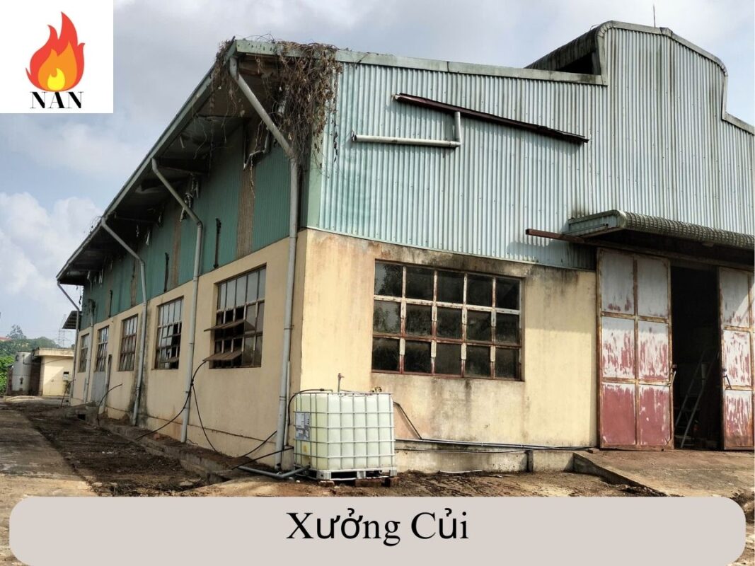 xuong-cui-ep-mun-cua