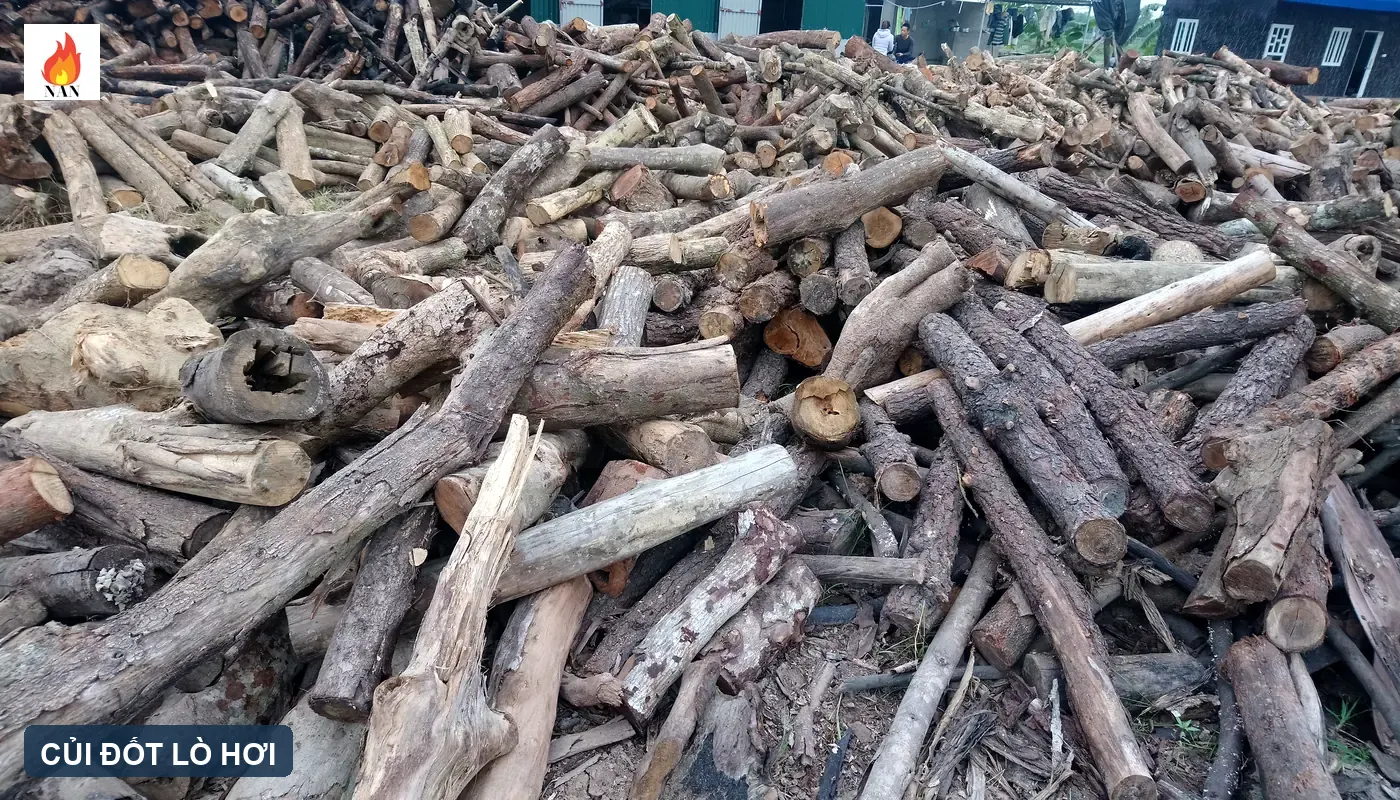 Bãi củi gỗ thực tế dùng cho lò hơi công nghiệp