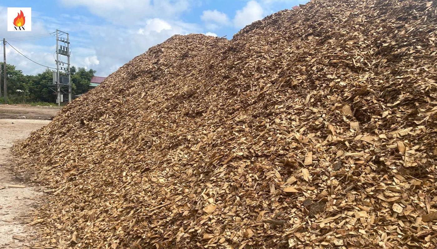 Bãi tập kết dăm gỗ dùng làm nhiên liệu đốt lò hơi