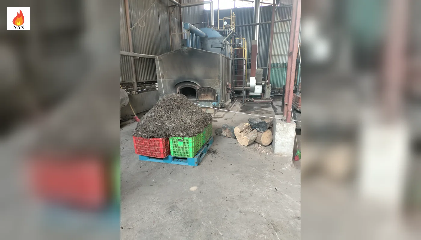 Toàn cảnh hệ thống nồi hơi đốt củi, buồng đốt, quạt và khu vực chứa nhiên liệu tại nhà máy